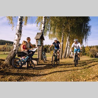 Mountainbiken und Radfahren im Herbst in der Oststeiermark | Bernhard Bergmann | © Oststeiermark Tourismus, Bernhard Bergmann