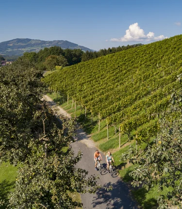 Cycling among vines on the East Styrian Roman Wine Route | ©  Oststeiermark Tourismus | Bernhard Bergmann