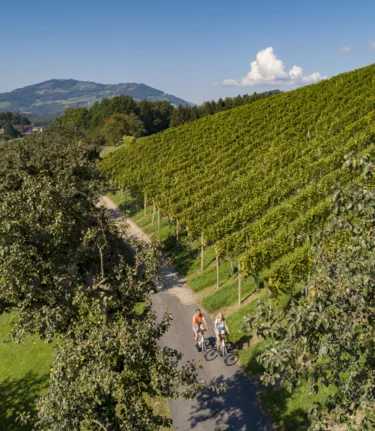 Radfahren zwischen Weinreben auf der Oststeirischen Römerweinstraße | ©  Oststeiermark Tourismus | Bernhard Bergmann