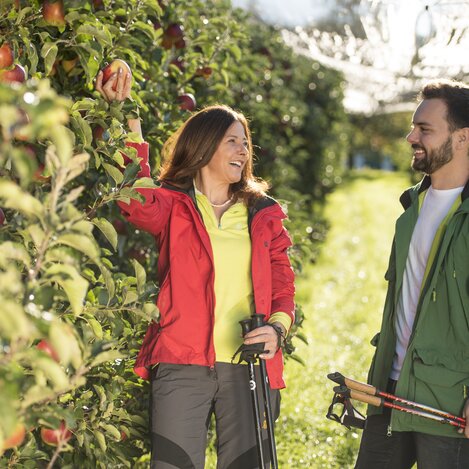 Hiking through the apple orchards in Eastern Styria | © TV Oststeiermark | Bernhard Bergmann | © TV Oststeiermark / Bernhard Bergmann