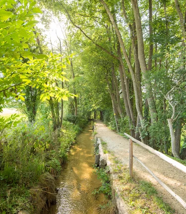Barrierefreies Wandern in der Hinterbrühl in der Oststeiermark | © TV Oststeiermark | Helmut Schweighofer