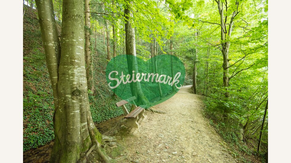 Wandern im Wald | © Oststeiermark Tourismus | Helmut Schweighofer