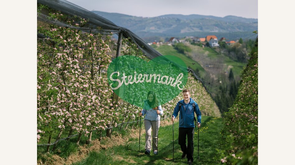 Wandern im Apfelgarten in der Oststeiermark | © Oststeiermark Tourismus | die mosbachers