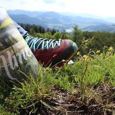 Wandern im Naturpark Almenland | © WEGES