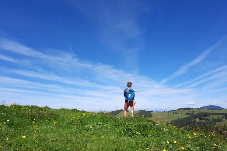Wandern am Siebenkögel-Rundweg im Naturpark Almenland | © WEGES