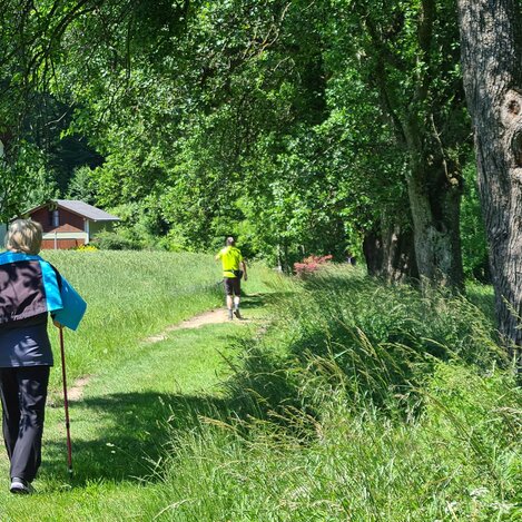 Nordic Walking im Pöllauer Tal | © TV Oststeiermark | Christine Schwetz