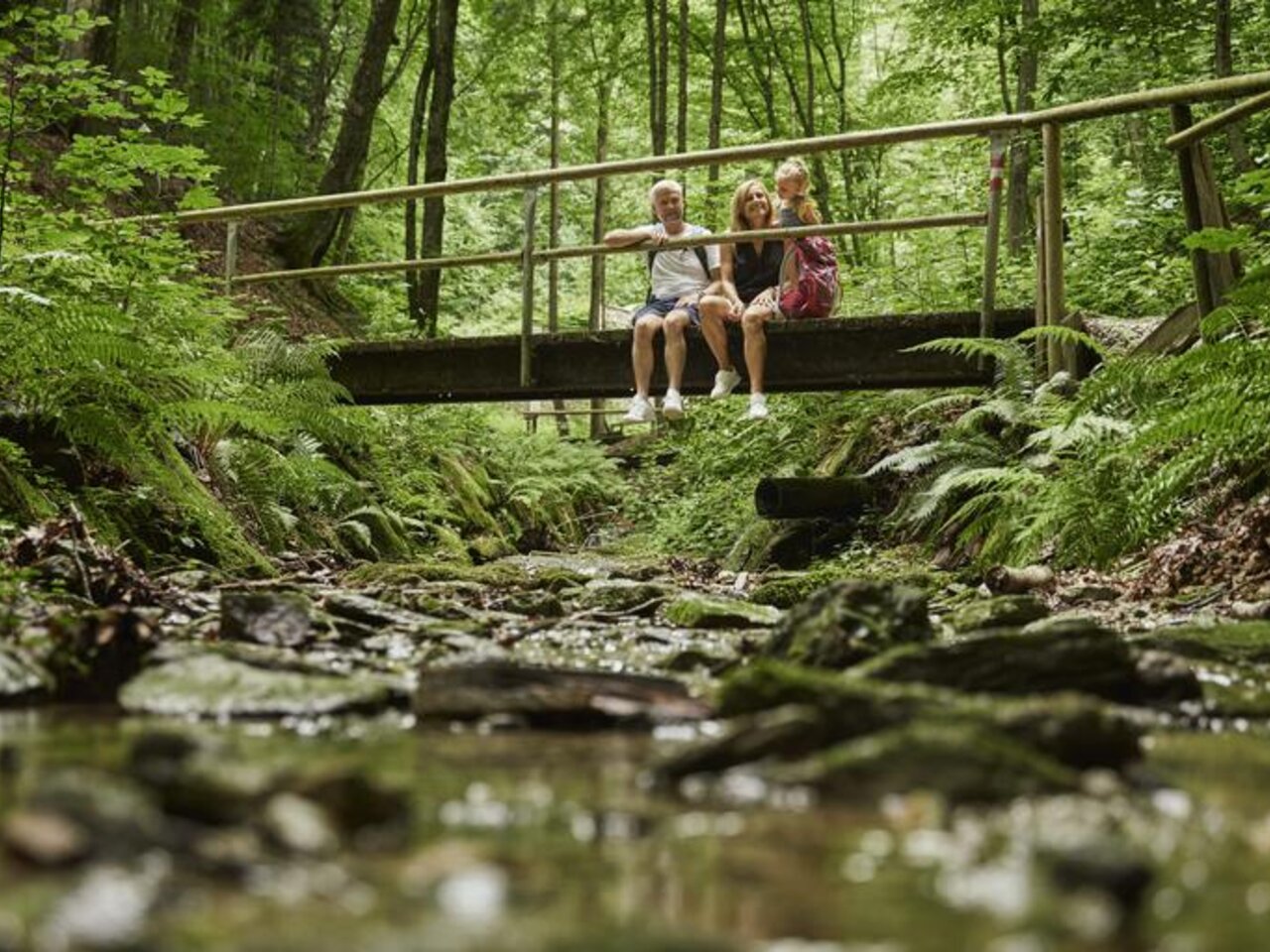 Brücke bei der Hilmtor-Runde in der Oststeiermark | © Oststeiermark Tourismus | Markus Lang-Bichl