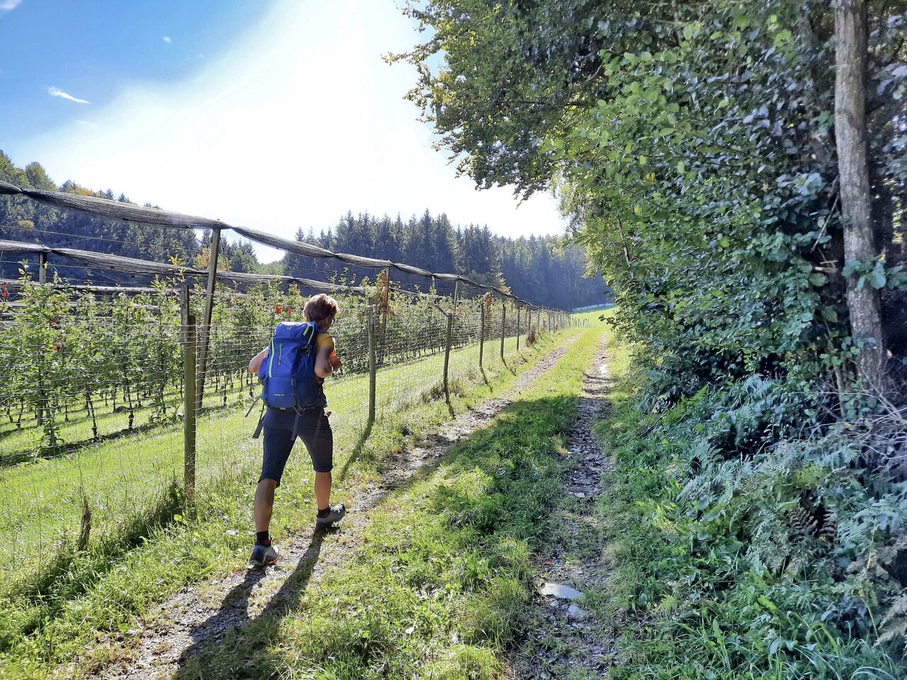 Wanderweg um Gleisdorf in der Oststeiermark | © TV Oststeiermark | Christine Pollhammer