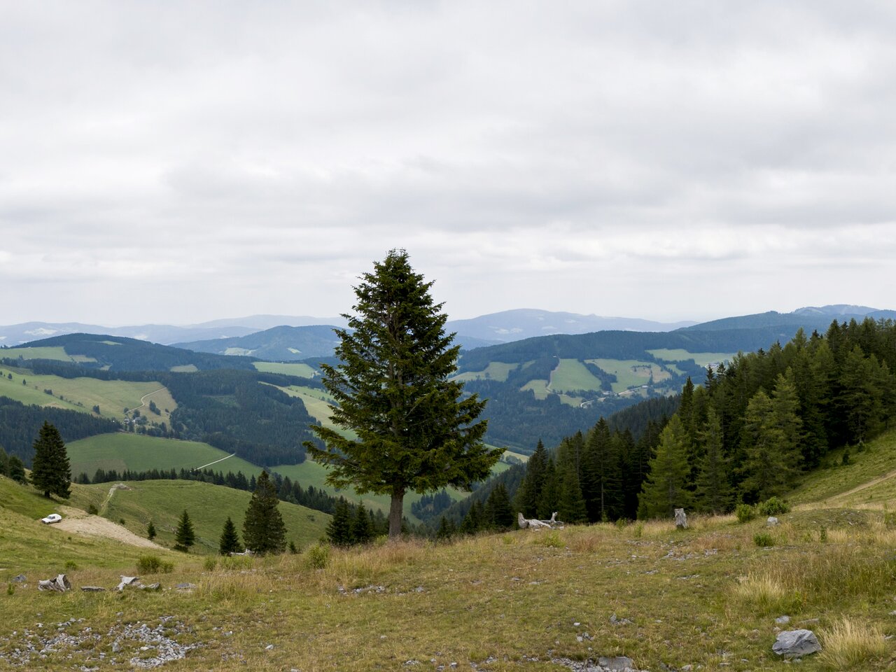Aussicht beim Mariazellerweg | © STG | Leo Himsl