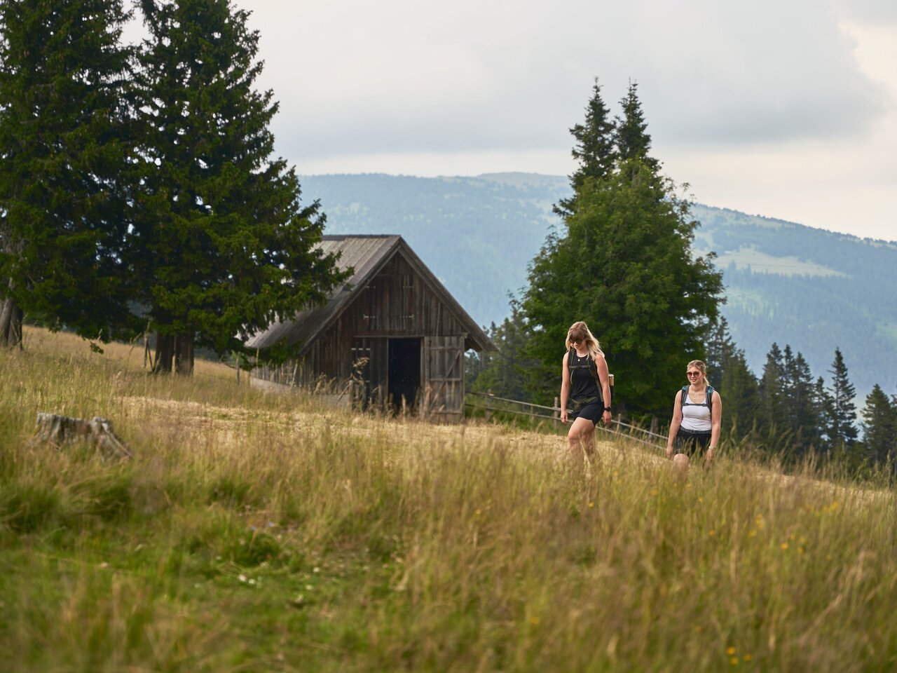 Wandern am Hochwechsel im Joglland | © Oststeiermark Tourismus | Markus Lang-Bichl