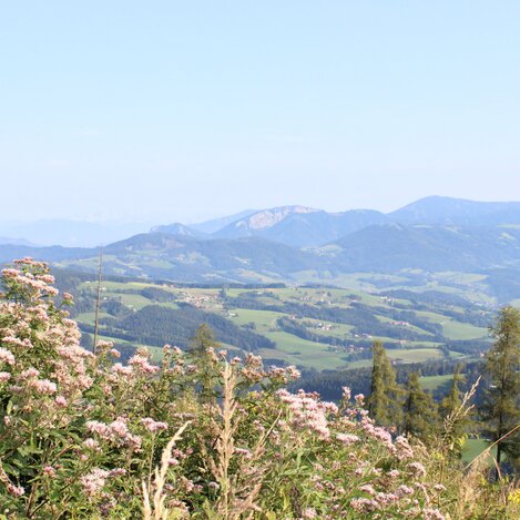 Ausblick vom Hochplateau am Schöckl | © TV Oststeiermark | Christine Pollhammer