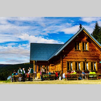 Sommer auf der Glatzl Trahütten Alm in der Oststeiermark | © Oststeiermark Tourismus