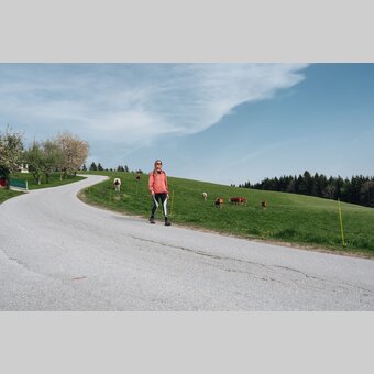 Wandern am Dorfrundweg von Fischbach in der Oststeiermark | ©  Oststeiermark Tourismus | Line Sulzbacher