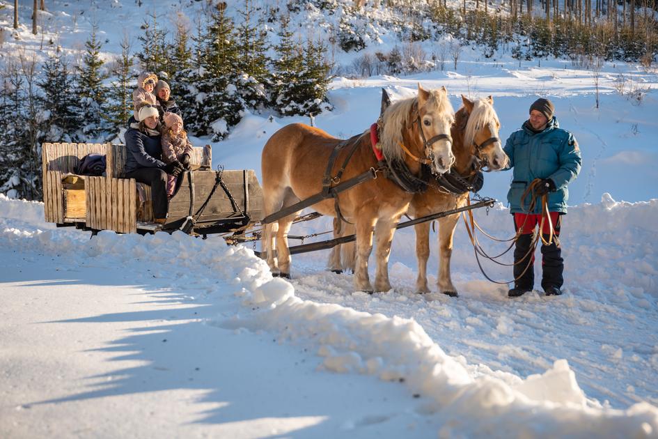 Horse-drawn sleighs on the Teichalm | © Oststeiermark Tourismus | Bernhard Bergmann