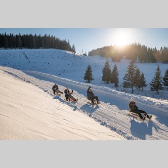 Gruppe am Rodeln | © Oststeiermark Tourismus | Bernhard Bergmann