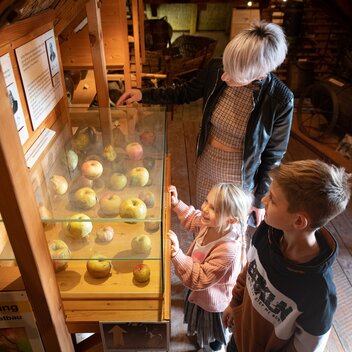 © RENE STRASSER FOTOGRAFIE | RENE STRASSER