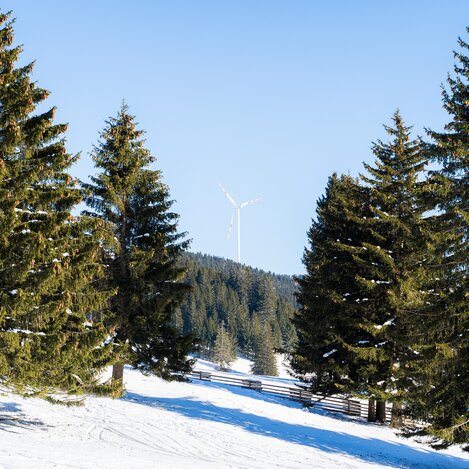 Winterlandschaft auf der Sommeralm in der Oststeiermark | © TV Oststeiermark | Fabian Trummer
