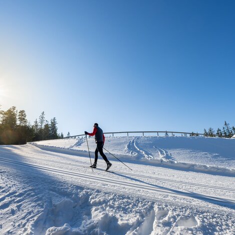 Klassischer Skilanglauf auf der Jogllandloipe in der Oststeiermark | © TV Oststeiermark | Rene Strasser