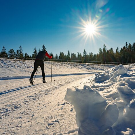 Sonnenlanglauf auf der Jogllandloipe in der Oststeiermark | © TV Oststeiermark | Rene Strasser