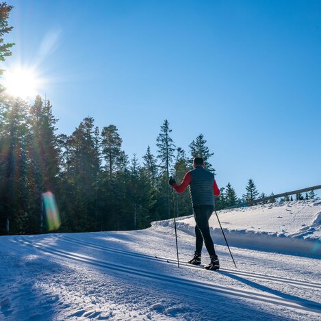 Langlaufen im Joglland in der Oststeiermark | © TV Oststeiermark | Rene Strasser