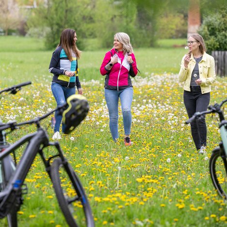 Rast bei einer Blumenwiese beim Steirerteich in Kaindorf | © TV Oststeiermark | Rene Strasser