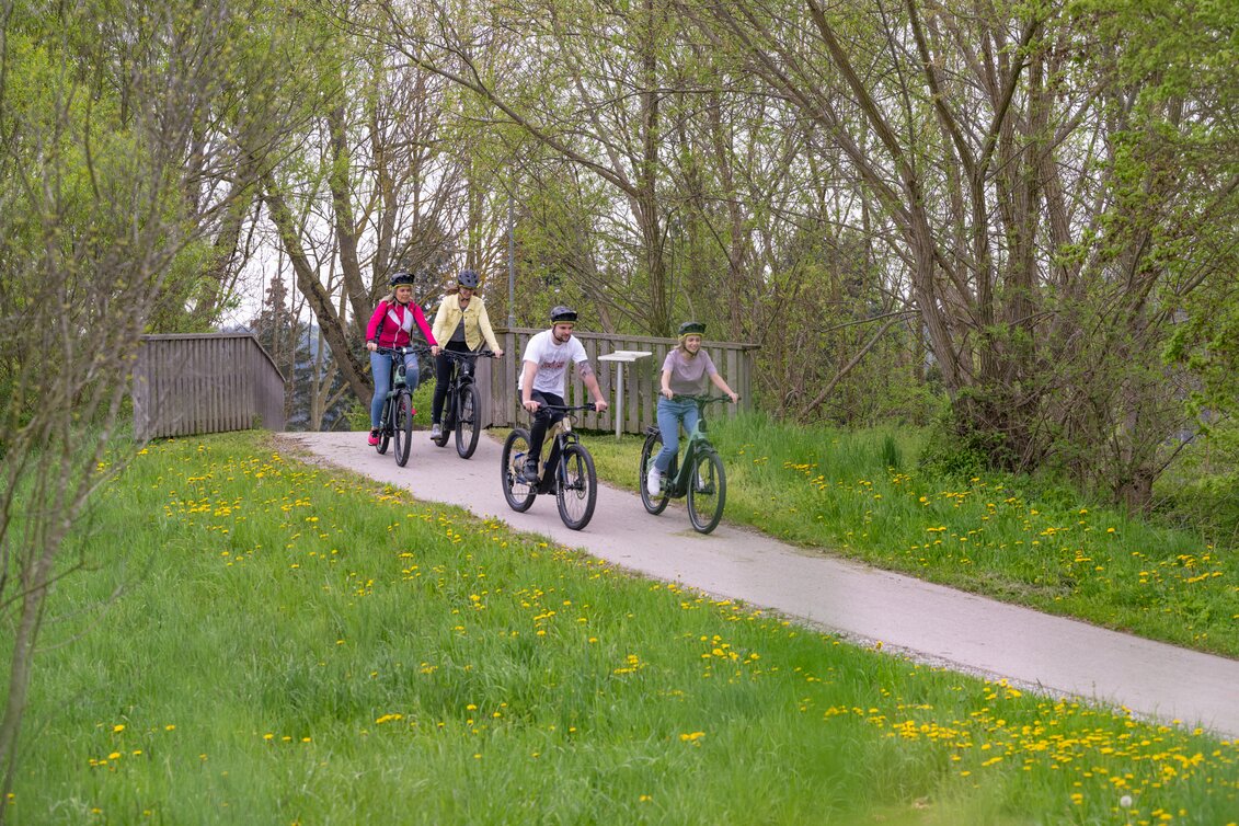 E-Bike Fahrvergnügen in der Erlebnisregion Oststeiermark | © TV Oststeiermark | Rene Strasser