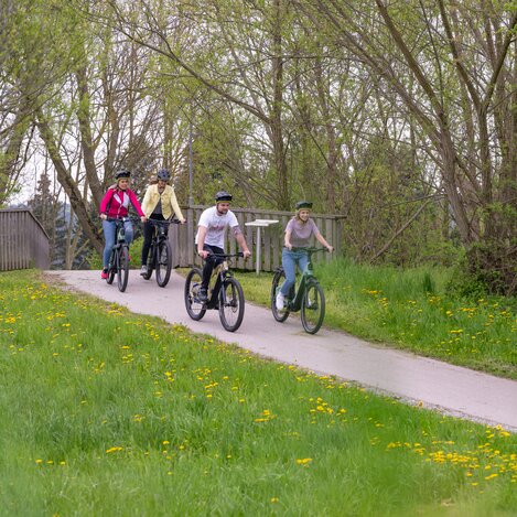 E-Bike Fahrvergnügen in der Erlebnisregion Oststeiermark | © TV Oststeiermark | Rene Strasser