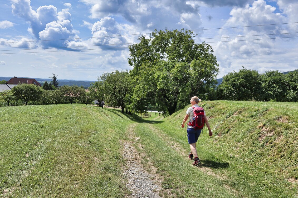 Wandern in der Oststeiermark | © TV Oststeiermark | WEGES OG