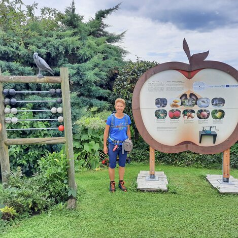 Apfelschilder bei der Ilzbergrunde in der Oststeiermark | © TV Oststeiermark | WEGES OG