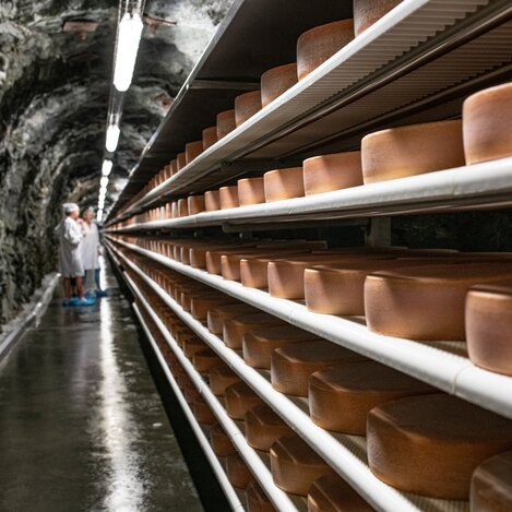 Almenland Stollenkäse in der Oststeiermark | © TV Oststeiermark | Rene Strasser