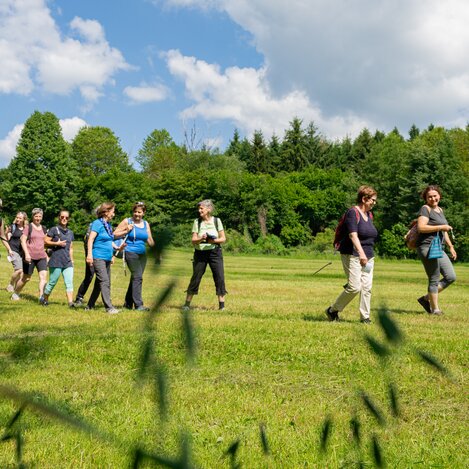 Wanderung vom Haus der Frauen in der Oststeiermark | © TV Oststeiermark | Rene Strasser