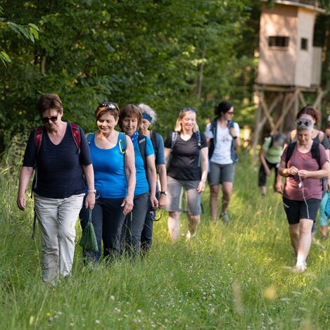 Wanderung vom Haus der Frauen in der Oststeiermark | © TV Oststeiermark | Rene Strasser