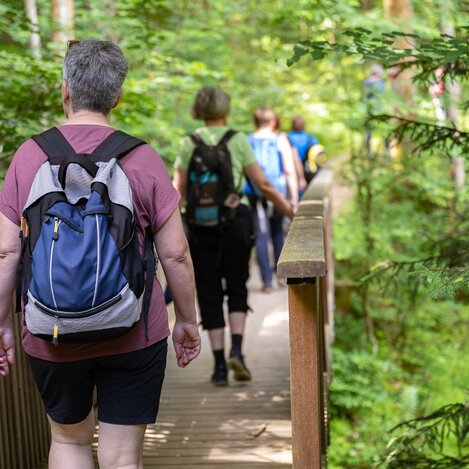 Wanderung vom Haus der Frauen in der Oststeiermark | © TV Oststeiermark | Rene Strasser