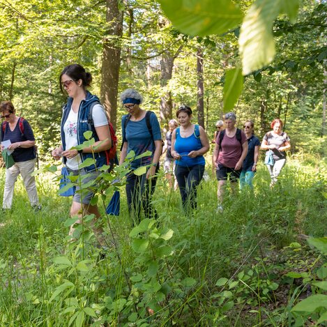 Wanderung vom Haus der Frauen in der Oststeiermark | © TV Oststeiermark | Rene Strasser