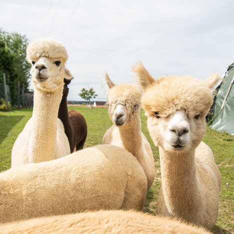 © RENE STRASSER FOTOGRAFIE | RENE STRASSER