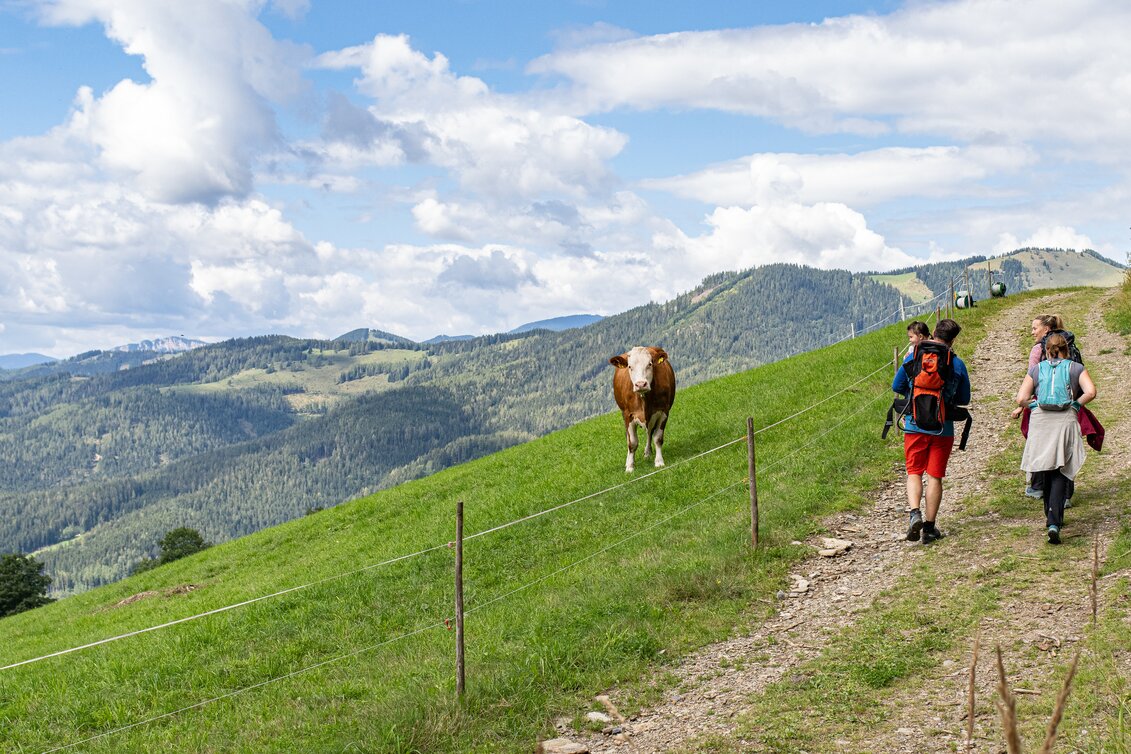 © RENE STRASSER FOTOGRAFIE | RENE STRASSER