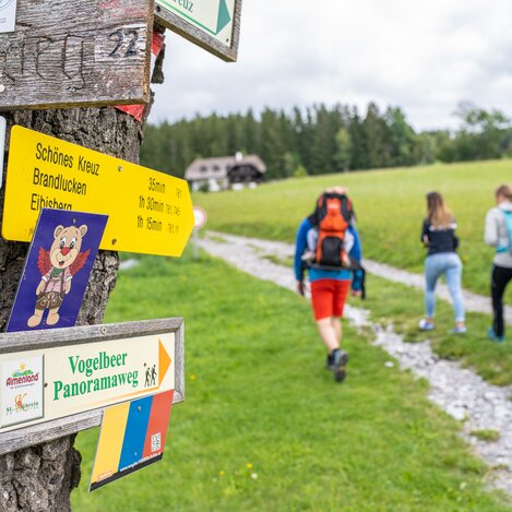 © RENE STRASSER FOTOGRAFIE | RENE STRASSER