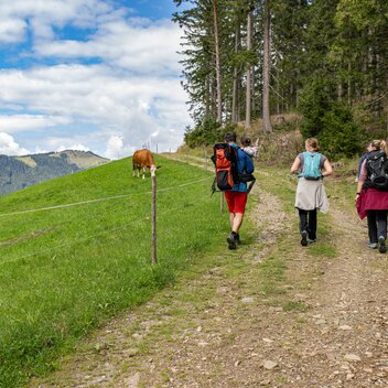 © RENE STRASSER FOTOGRAFIE | RENE STRASSER