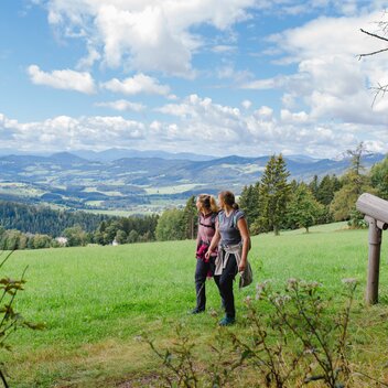 © RENE STRASSER FOTOGRAFIE | RENE STRASSER