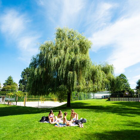Liegewiese im Wellenbad Gleisdorf in der Oststeiermark | © TV Oststeiermark | Fabian Trummer/5komma5sinne 