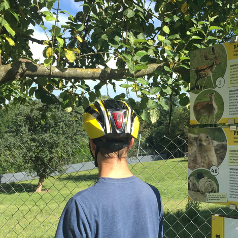 Tierwelt Herberstein in der Oststeiermark | © TV Oststeiermark | Josef Hirt