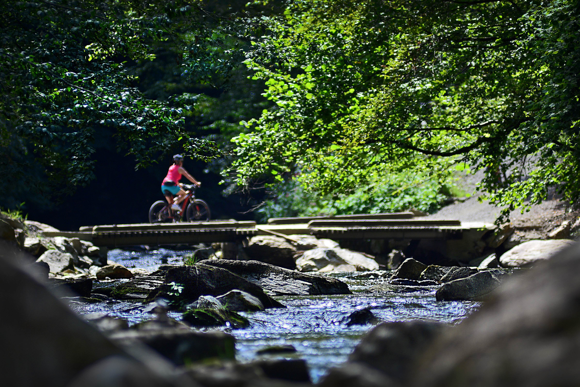 Radweg R8 in der Oststeiermark | © TV Oststeiermark | Christian Strassegger