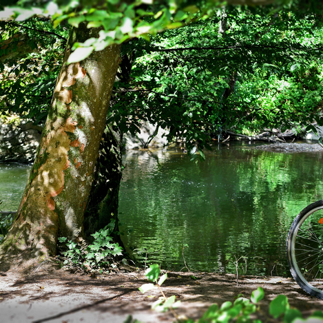 Radlerrast an der Feistritz in der Oststeiermark | © TV Oststeiermark | Christian Strassegger
