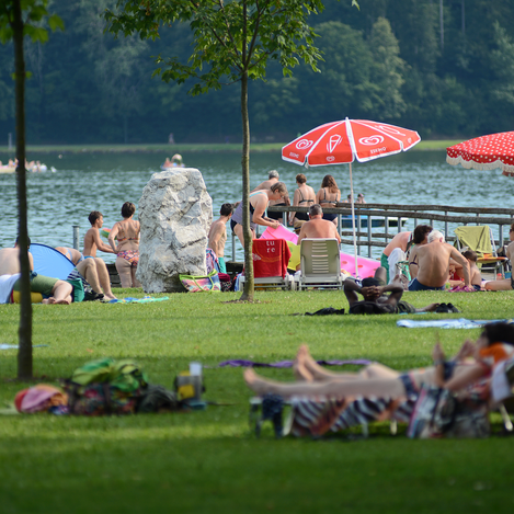Liegewiese am Stubenbergsee in der Oststeiermark | © TV Oststeiermark | Christian Strassegger
