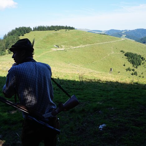 Ausblick Richtung Sommeralm in der Oststeiermark | © TV Oststeiermark | Chiara Raith