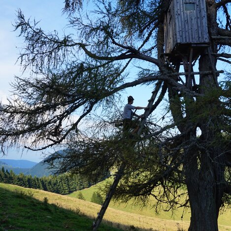 Jagdhochsitz auf der Teichalm in der Oststeiermark | © TV Oststeiermark | Chiara Raith