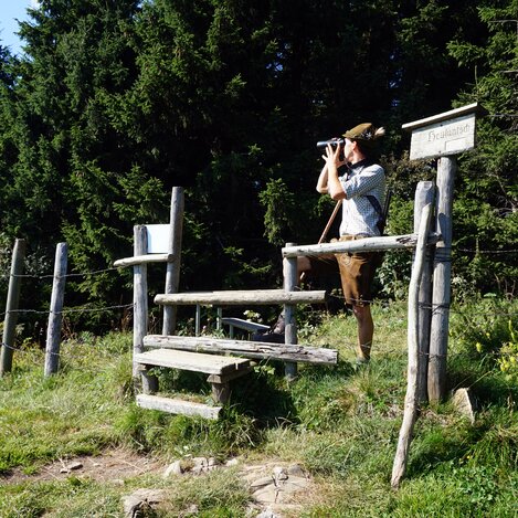 Einen Blick in die Ferne in den Naturpark Almenalnd | © TV Oststeiermark | Chiara Raith
