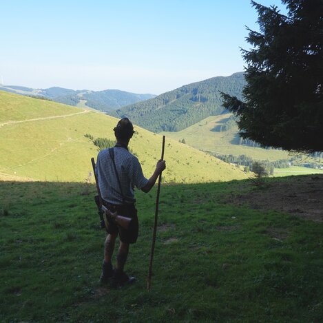 Blick Richtung Sommeralm Windrad | © TV Oststeiermark | Chiara Raith