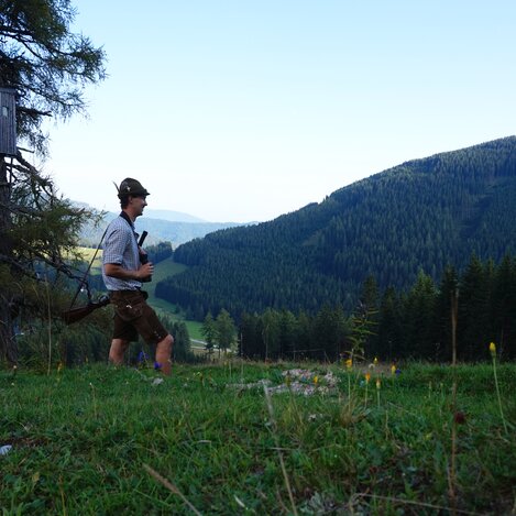 Hochsitz auf der Teichalm in der Oststeiermark | © TV Oststeiermark | Chiara Raith