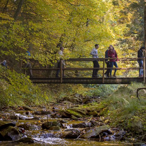 Wandern im Naturpark Pöllauer Tal in der Oststeiermark | © TV Oststeiermark | Rene Strasser